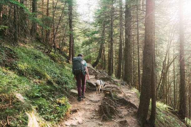 istock Woman hiking with dog in forest 1278772304