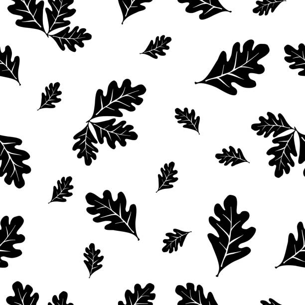 ilustraciones, imágenes clip art, dibujos animados e iconos de stock de patrón vectorial sin costuras con hojas de otoño de fondo blanco. dibujo de hojas de roble. plantilla de patrón en blanco y negro.  dibujo de líneas. - hoja de roble