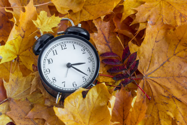 istock A black analog retro alarm clock stands on bright maple leaves. 1278774029