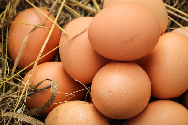 istock Natural organic chicken Eggs with brown Shells on a Straw and Hay. Rustic cozy still life. 1278776406