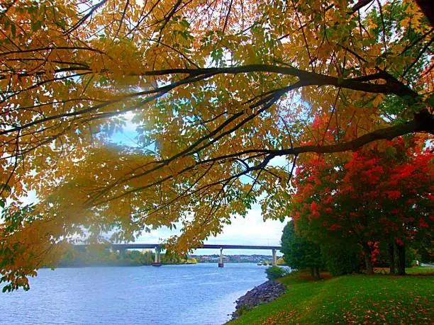 Photo of Autumn along the river