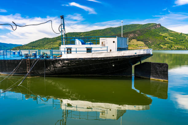 View at ship at Danube gorge in Djerdap on the Serbian-Romanian border