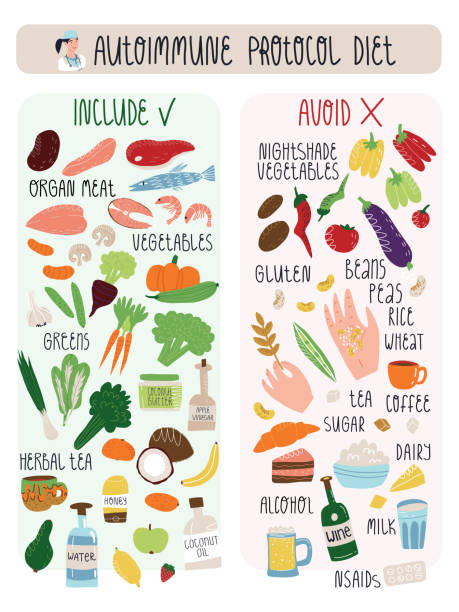 Autoimmune protocol diet banner with including and avoiding food needs to address disease by special nutrition. Vector isolated illustration with hand lettering. Autoimmune protocol diet banner with including and avoiding food needs to address disease by special nutrition. Vector isolated illustration with hand lettering. anti inflammatory stock illustrations