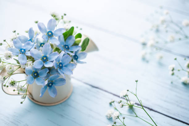 istock Bouquet of blue flowers 1278783508