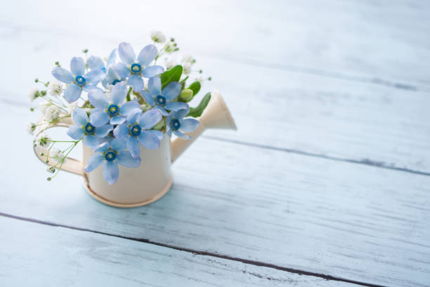 istock Bouquet of blue flowers 1278783545