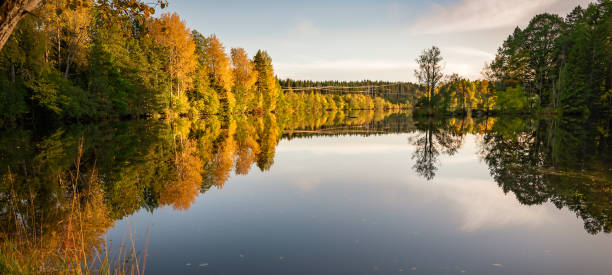 istock The autumn forest that reflects in the water 1278783579