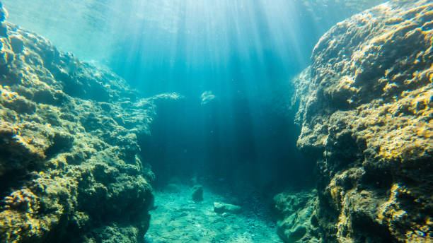 istock Underwarter landscape in Corsica 1278783722