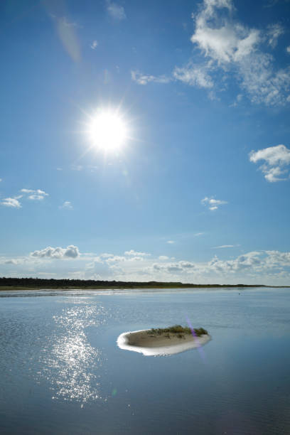 istock Small sandbank at a North sea beach 1278787802