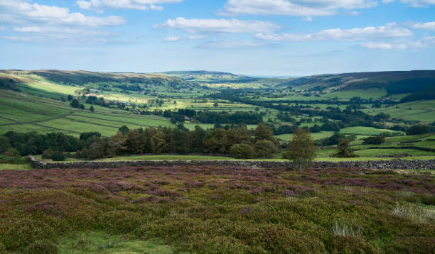 istock North York Moors with heather in bloom, fields, under blue sky. Glaisdale, UK. 1278788135