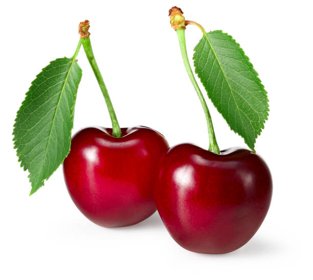 istock red cherry with green leaf isolated on white background. full depth of field. clipping path 1278792057