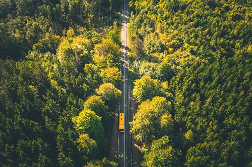 Aerial image of yellow public bus driving on a on a highway in natural forest with beautiful autumn colours. Shot in Denmark, Europe