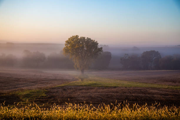 Heartland Images