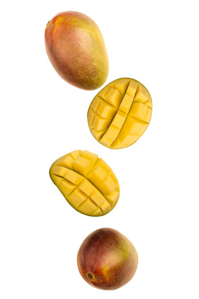 istock Falling mangoes isolated on a white background with clipping path. Flying food, fruit. 1278795320