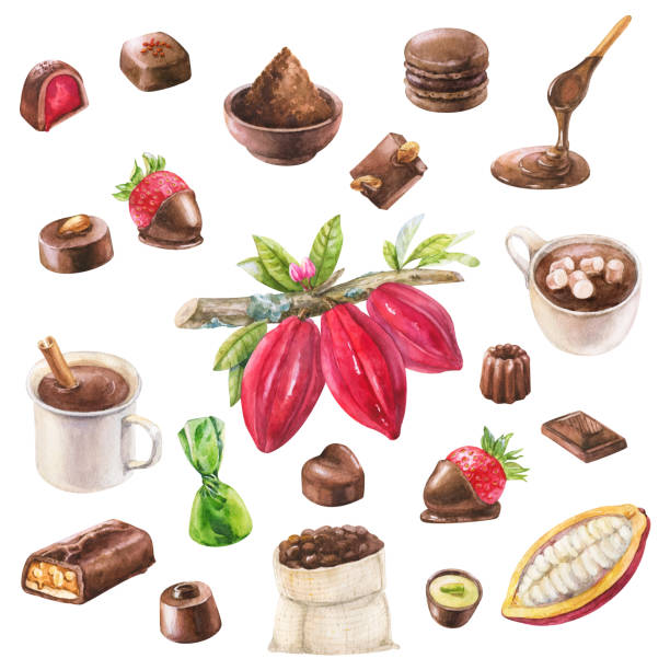 акварель шоколадные конфеты, какао и ингредиенты, изолированные на белом фоне - white background freshness variation brown stock illustrations