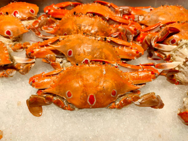 istock Close up on Fresh crabs are placed on ice in the restaurant. 1278800606