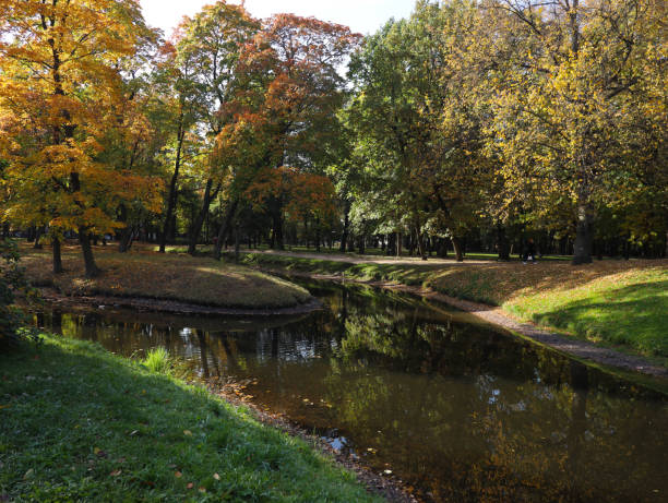 istock golden autumn landscape 1278801788