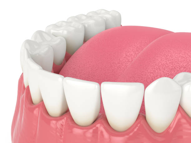 istock 3d render of human lower jaw with black triangles 1278802704