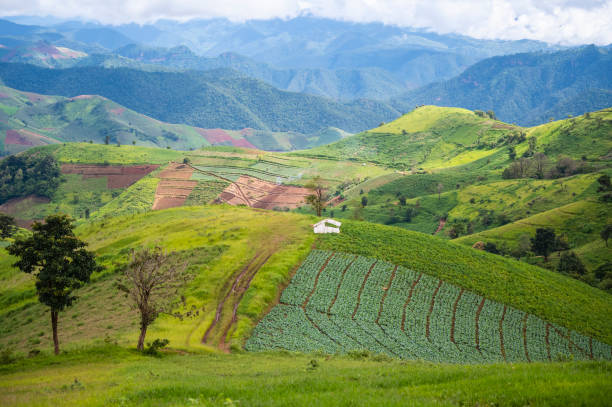 istock Summer mountains green grass landscape, Doi mae Tho, Chiang Mai, Thailand 1278804961