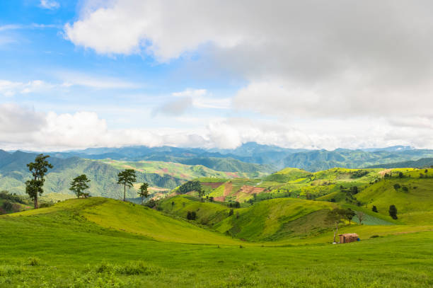 istock Summer mountains green grass landscape, Doi mae Tho, Chiang Mai, Thailand 1278804977