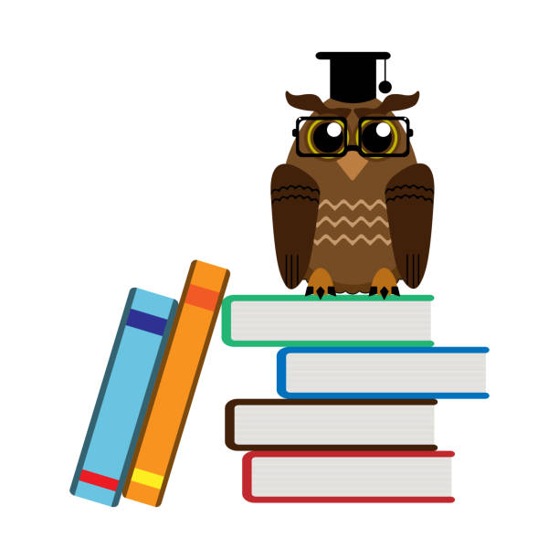 Funny Wise Owl And Books Cartoon Vector Illustration Stock Illustration -  Download Image Now - iStock