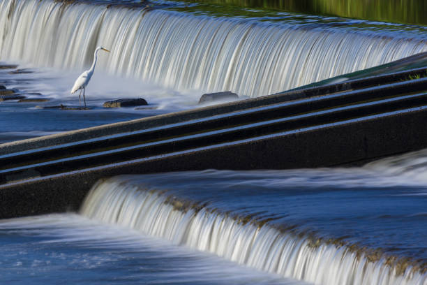 The Maumee River Flows Over Dam In A Scenic Setting    