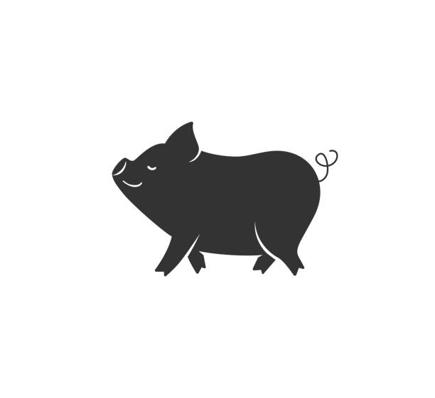 ilustrações de stock, clip art, desenhos animados e ícones de pig silhouette vector illustration. black and white happy pork logo in simple cartoon flat style. isolated on white background - pig