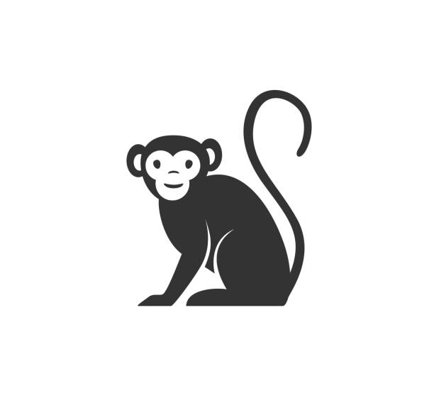猴子剪影向量插圖。黑白猿標誌。在白色背景上隔離。 - 猴子 圖片 幅插畫檔、美工圖案、卡通及圖標