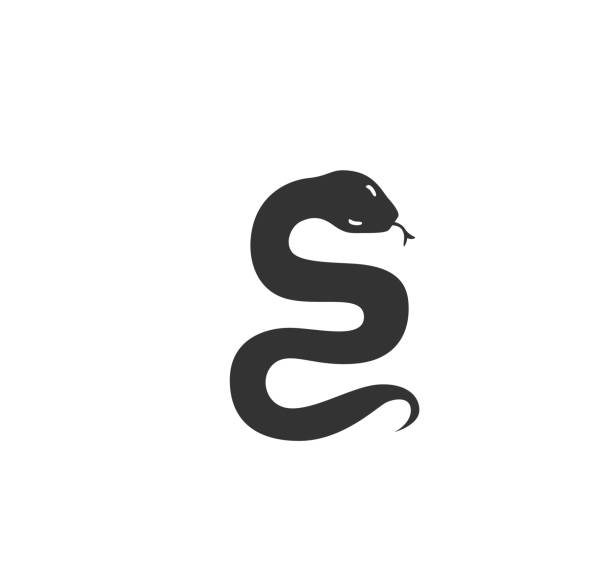 ilustrações, clipart, desenhos animados e ícones de ilustração vetorial da silhueta da cobra. logotipo da víbora selvagem preto e branco. isolado no fundo branco - snake cobra cartoon rattlesnake