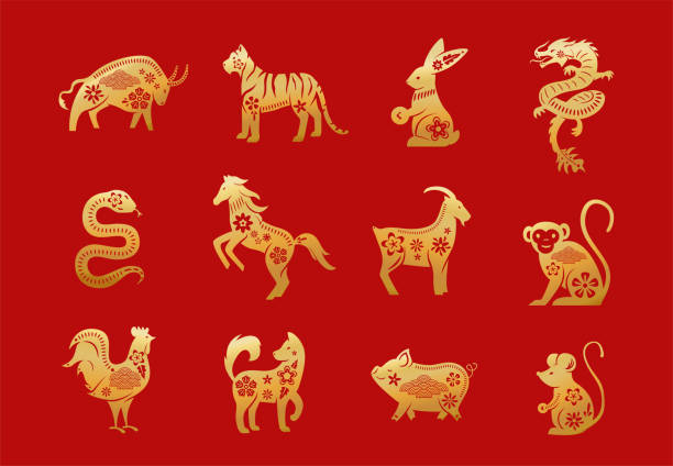 illustrations, cliparts, dessins animés et icônes de animaux chinois de zodiaque. douze personnages asiatiques d’or du nouvel an se sont isolés sur le fond rouge. illustration vectorielle des symboles d’horoscope de calendrier d’astrologie - signes du zodiaque