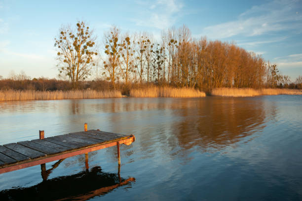 istock Pier with planks towards the lake and blue sky 1278808669