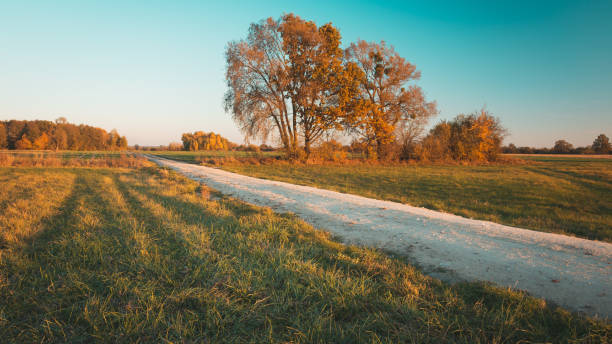 istock A dirt road through meadows and autumn trees 1278808689