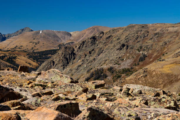 istock Alpine Glory on Trail Ridge Road Colorado 1278815477