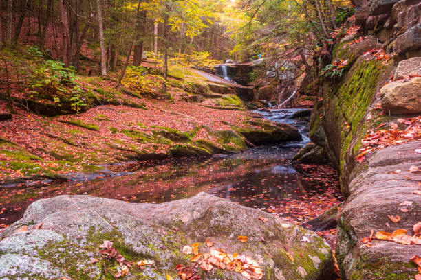 Enders Falls flows through the woods on an autumn day in Granby, Connecticut