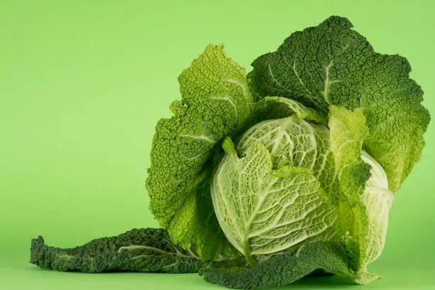 Cabbage is lying on a green background. Savoy cabbage is  often mistakenly called kale in Serbia.