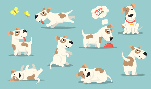 Happy small dog set Happy small dog set. Cute funny puppy practicing different activities, hunting, playing, eating, sleeping. Vector illustrations collection for pet care, animal adoption, canine, breed concept puppy stock illustrations