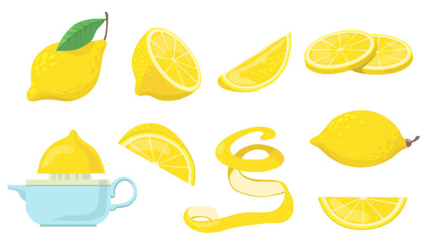 Different lemon pieces flat item set Different lemon pieces flat item set. Cartoon drawn citrus, half lemons and zest for lemonade juice isolated on white background vector illustration collection. Food and fruit concept half full illustrations stock illustrations