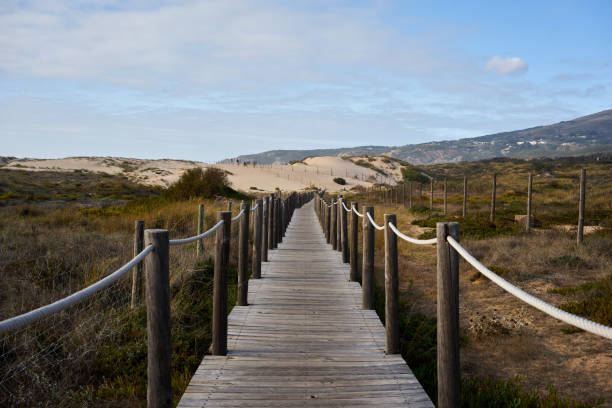 istock Wooden path to the beach 1278820288