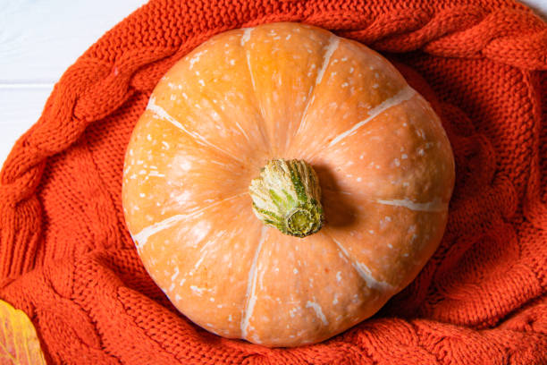 istock Autumn pumpkin on orange sweater background top view 1278820386