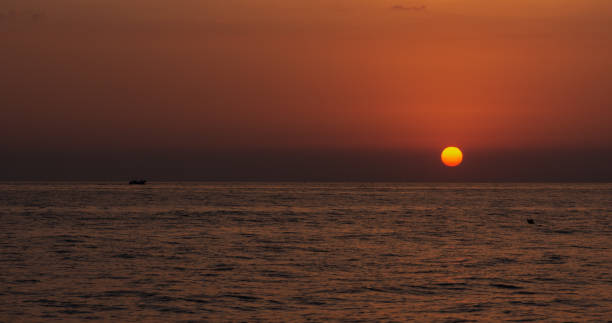 istock Adriatic sea. Ostuni, Puglia. Sunrise. 1278821110