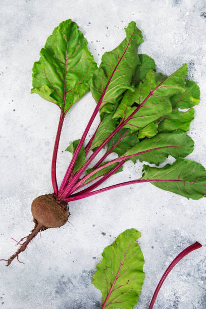 istock Fresh beetroot with leaves. Healthy food. Beetroots. Organic beet, beetroot on grey rustic background. Green living concept. Organic food. 1278821906