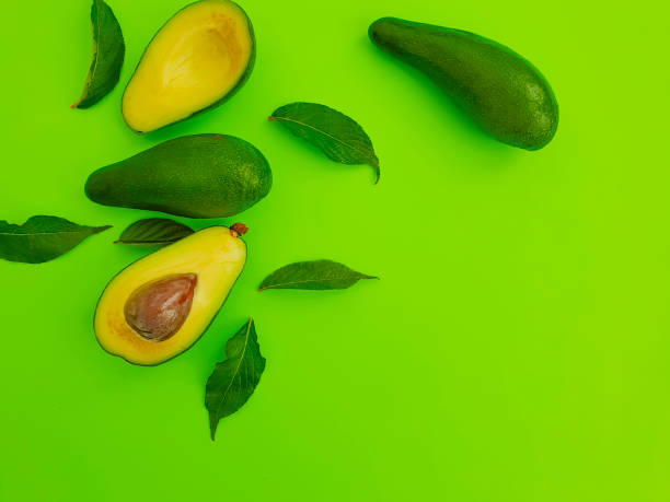fresh avocado on colored background