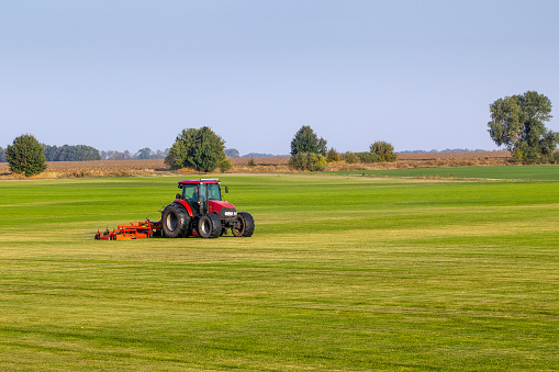 Industrial production of lawn grass in rolls. Trimmed field, resistant to mechanical impact and drought of green lawn grass. A tractor with a mower goes through the field, mows and mulches the grass.