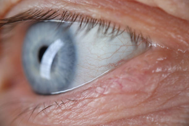 istock Male face and skin 1278827495