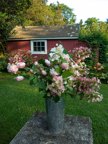 istock roses, hydrangeas, cut flowers outside in galvanized vase on stone table in front of red shed 1278832098