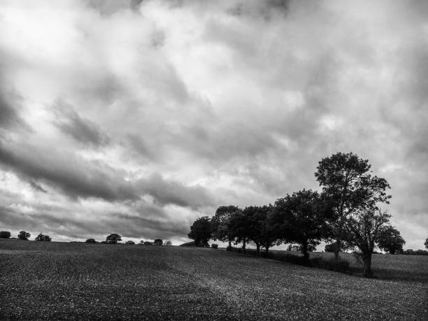istock Out walking in the Suffolk country side 1278839631