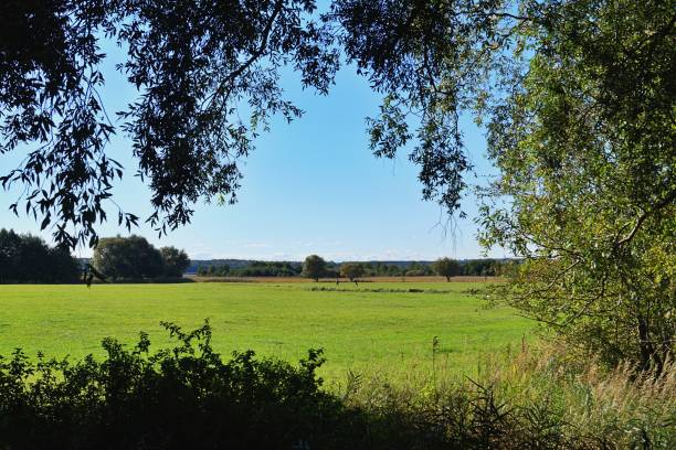 istock Meadow landscape by the lake Grimnitzsee, Schorfheide 1278839691