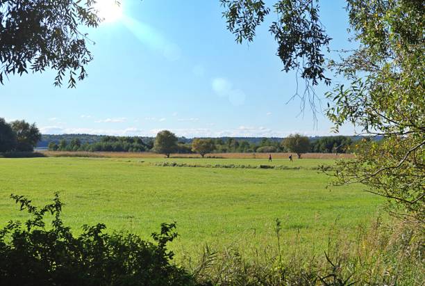 istock Meadow landscape by the lake Grimnitzsee, Schorfheide 1278839733