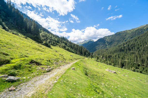 trilha de caminhada nos alpes - mountain austria street footpath - fotografias e filmes do acervo