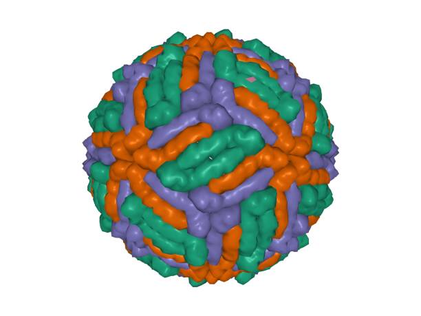 das west-nil-virus capsid isoliert - serotype stock-fotos und bilder