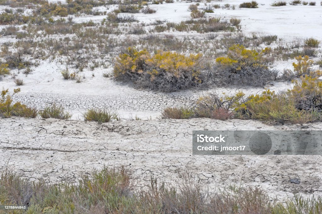 Desert Views in Nevada Traveling thru one of the many desert areas outside Fallon Nevada, it is almost like the great salt flats with plants. Color Image Stock Photo